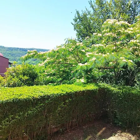 Green, Quiet And Beautiful 1 Kavarna